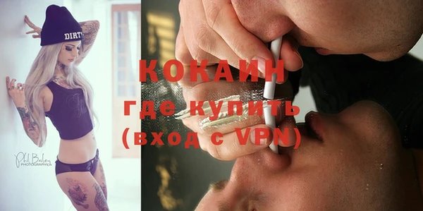 шишки Абинск