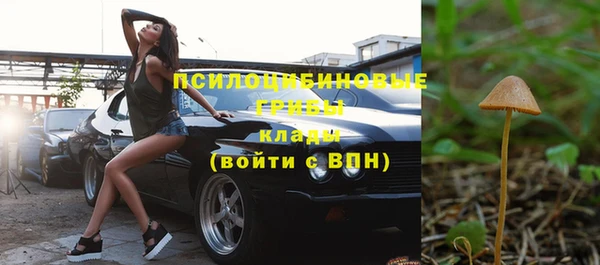 шишки Абинск