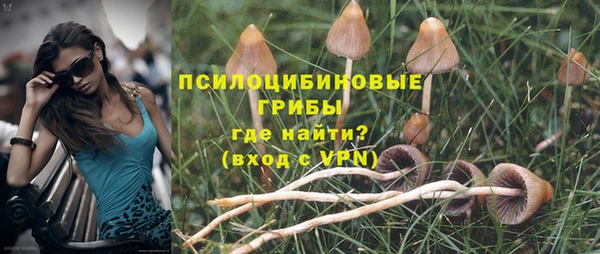 скорость Абаза