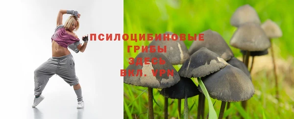бошки Абдулино