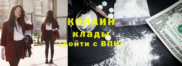 шишки Абинск