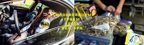 шишки Абинск