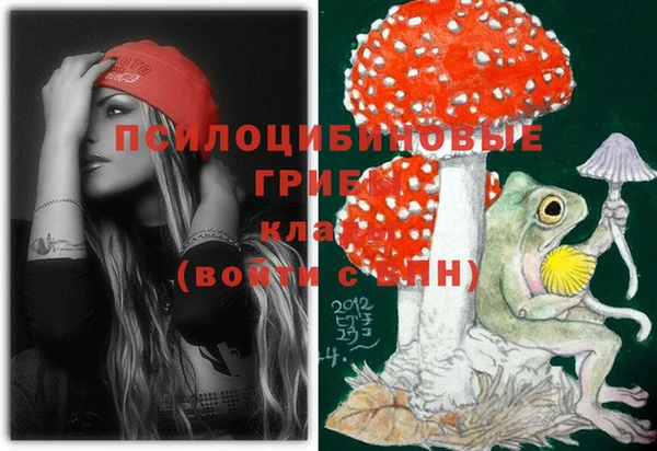 бошки Абдулино