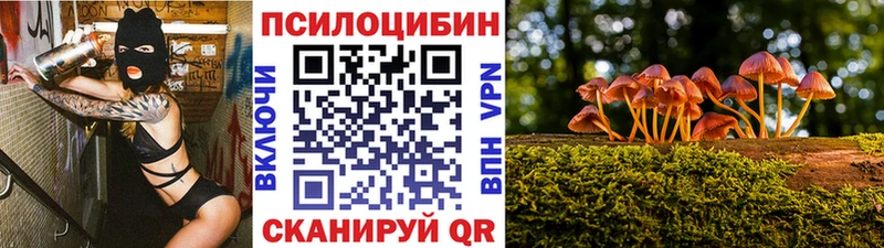 Псилоцибиновые грибы Psilocybe Чегем